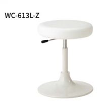 ＷＣー６１３Ｌ－Ｚ　医療、福祉用チェア　ビニールレザー